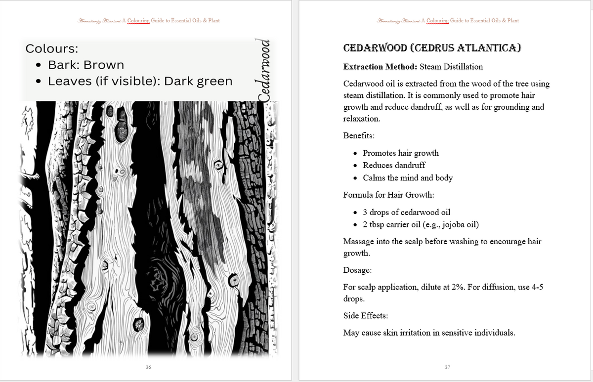 Essential Oils Colouring Book & Plant Guide