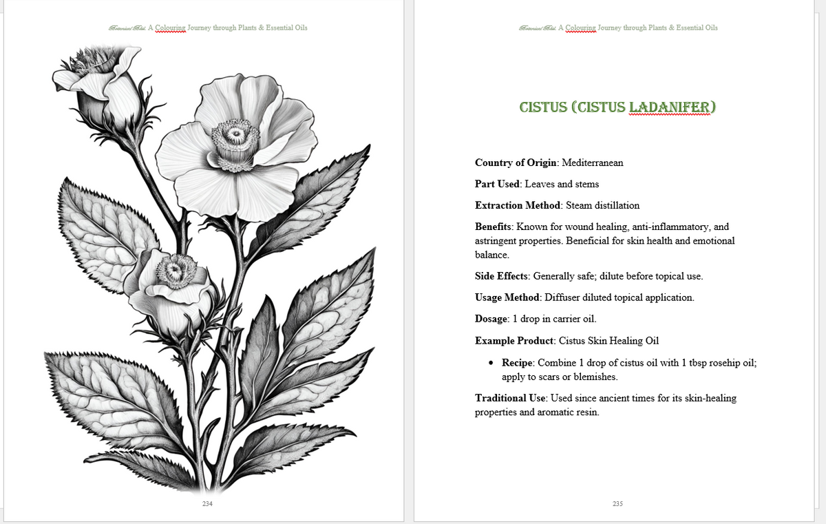 Botanical Bliss: Plants & Essential Oils Colouring