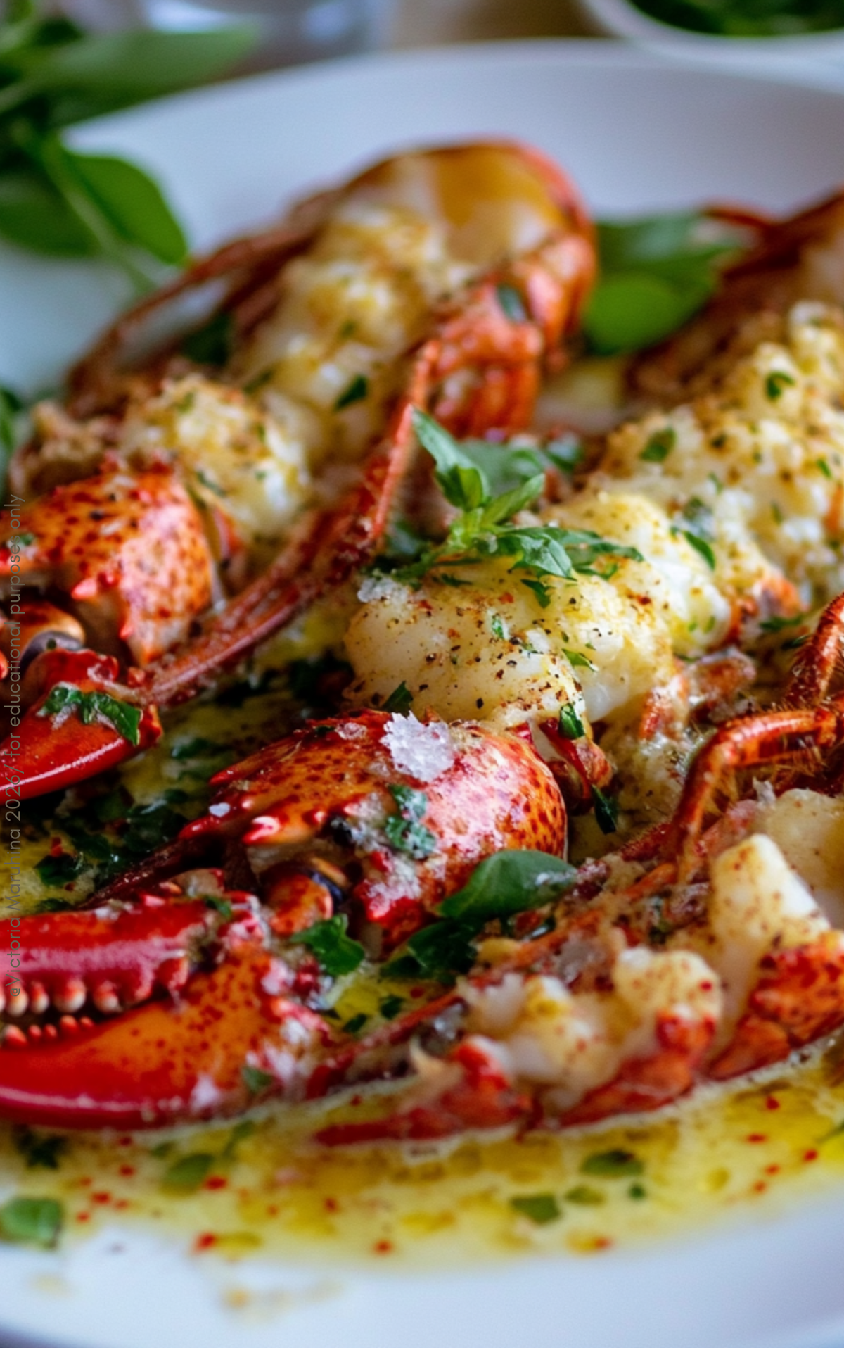 Epicurean Wine & Food Pairing Guide