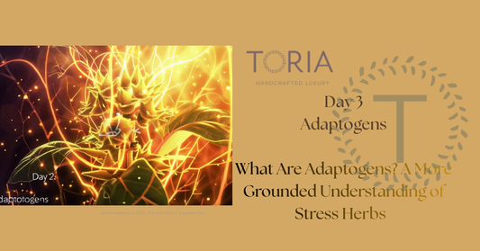 What are adaptogens? Learn how adaptogenic herbs support resilience to physical, emotional, and environmental stress over time. https://www.toria.ie