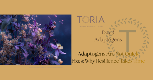 Adaptogens are not instant remedies. Learn why these herbs work gradually and why real resilience requires rest, nourishment, and recovery. https://www.toria.ie 