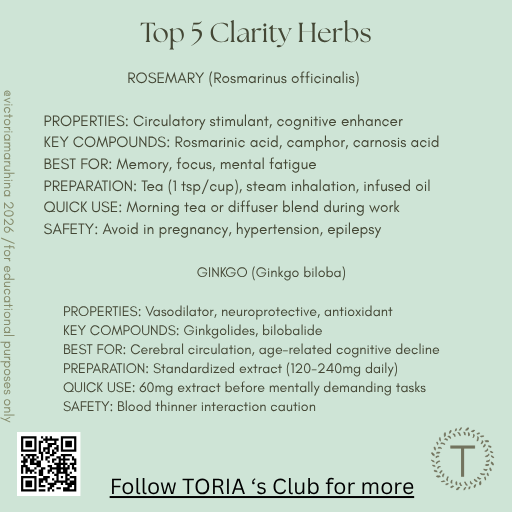 Mental Clarity Protocol: Herbal & Aromatic Solutions for Brain Fog